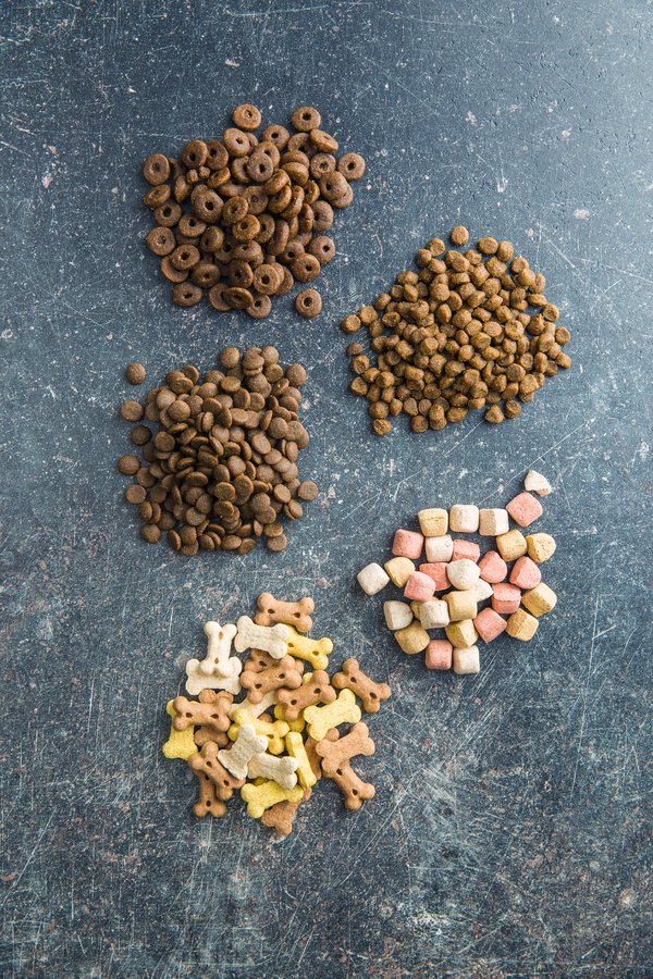 Les croquettes pour chien : un choix sans céréales gagnant !